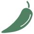 ico2