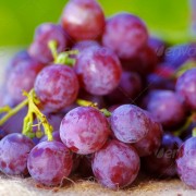 Grapes